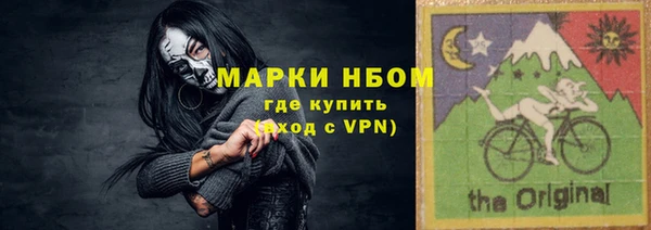хмурый Алзамай