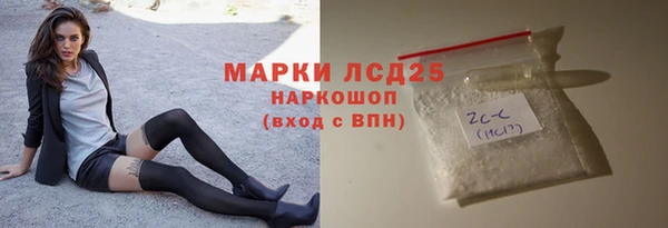 хмурый Алзамай