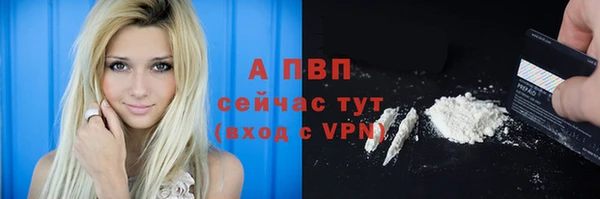 хмурый Алзамай