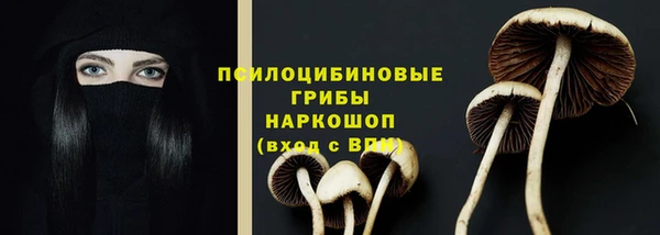 ешки Алексин