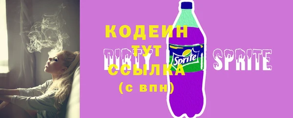 соль ск Гусев